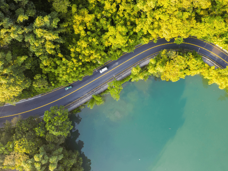 Aerial view of road through forest